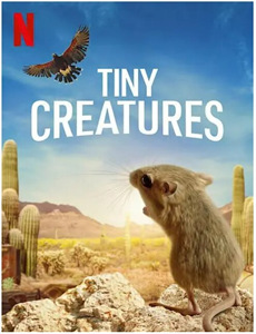 少女的世界 第二季