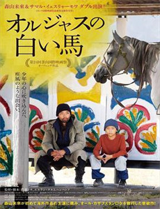 地平线系列：猫咪观察