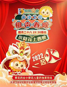 督军的替身丫鬟