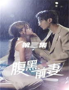 傅作义的曲折谈判