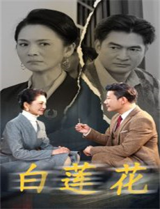 怪兽8号怪獣8号2024